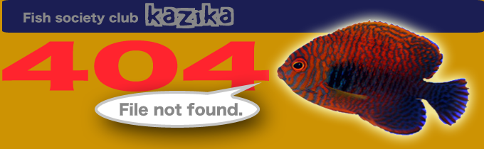 Fish society club kazika 404 File not found.